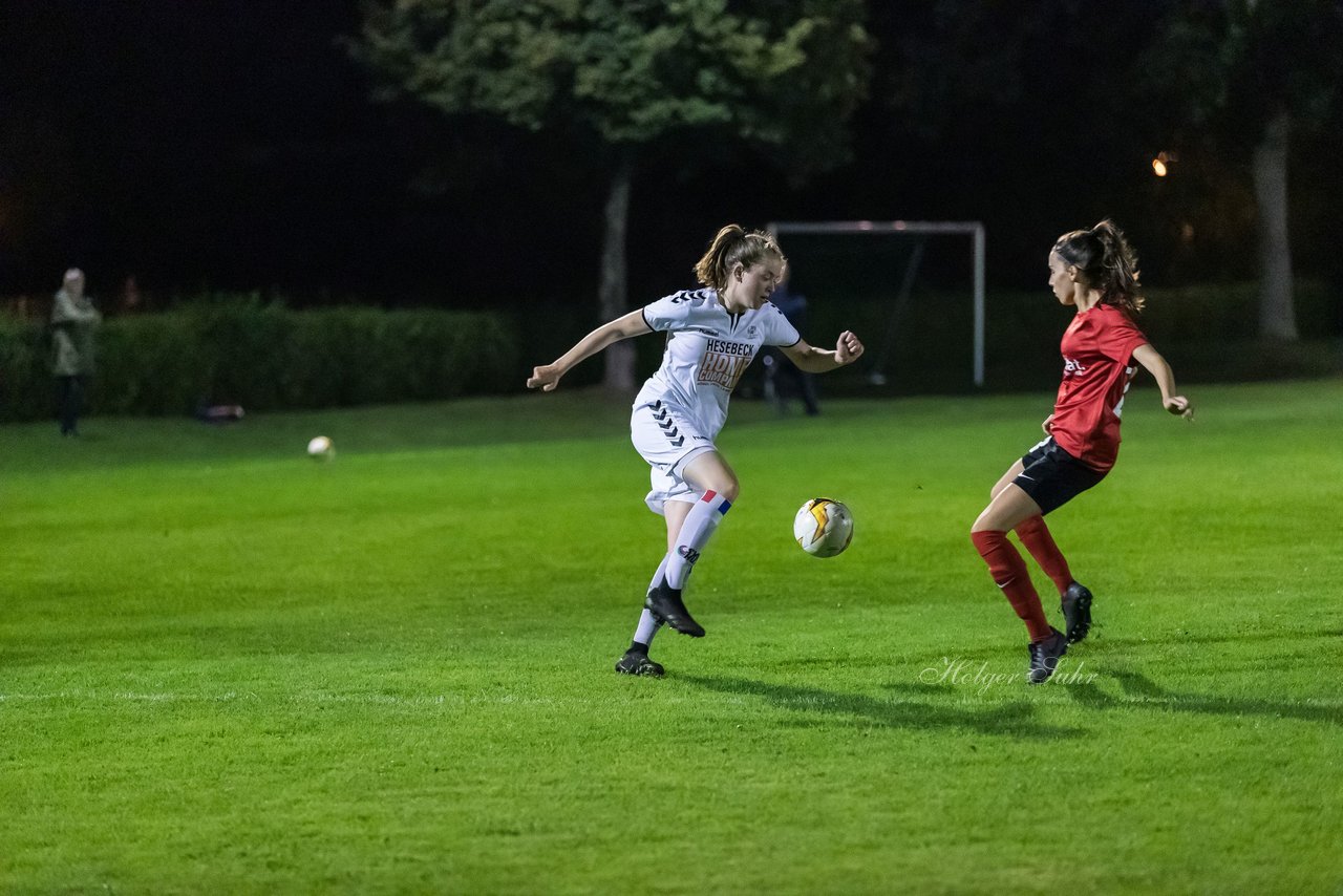 Bild 112 - Frauen SV Henstedt Ulzburg - Wellingsbuettel : Ergebnis: 11:1